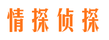 叙永侦探公司